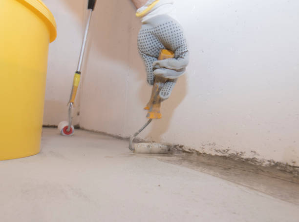 Best Pest Prevention Services  in Williams, AZ